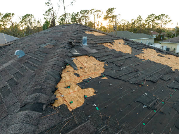 Best Metal Roofing Installation  in Black Creek, WI